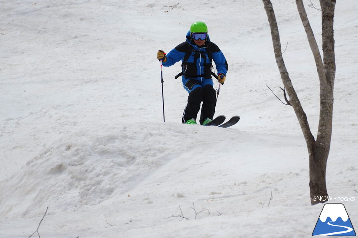 DYNASTAR SKI 